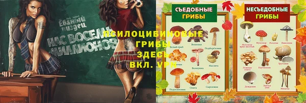 кристаллы Вязники